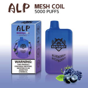 ALP Mesh Coil 5000 Puffs - Disposable - Blueberry Raspberry